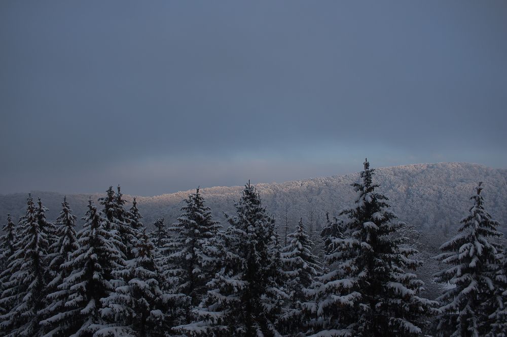 Photograph by Елена Шахова