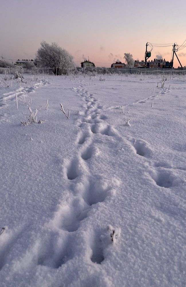 Photograph by Елена Ковалева