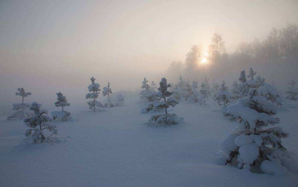 Photograph by Галина Щипакина