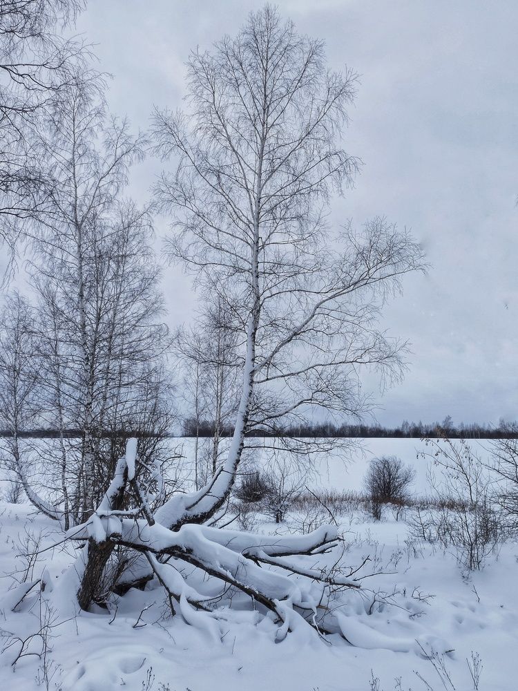 Photograph by Новикова Елена Сергеевна