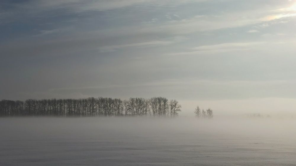 Photograph by Новикова Елена Сергеевна