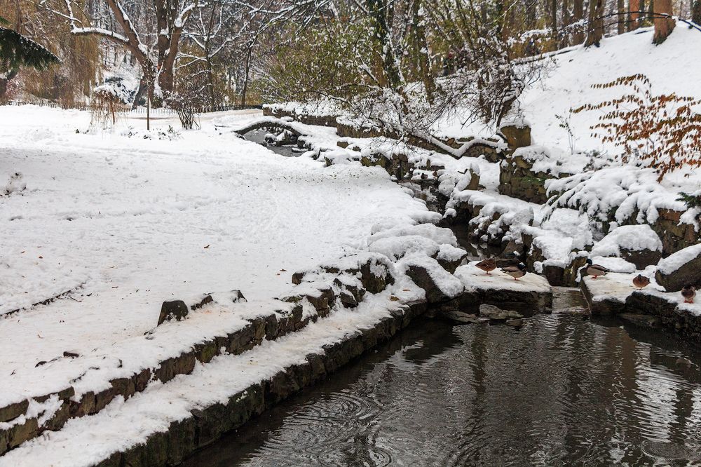 Photograph by Elena Zorina