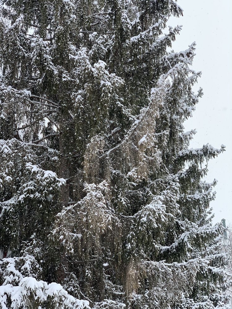 Photograph by Анаит Даниелян