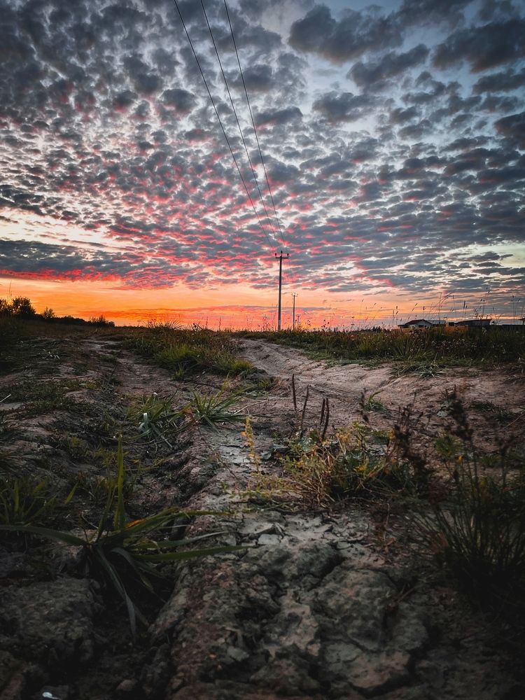 Photograph by Елена Переверзева