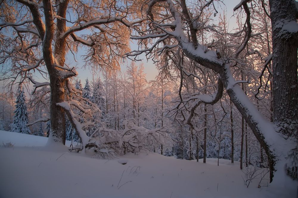 Photograph by Олег Раков