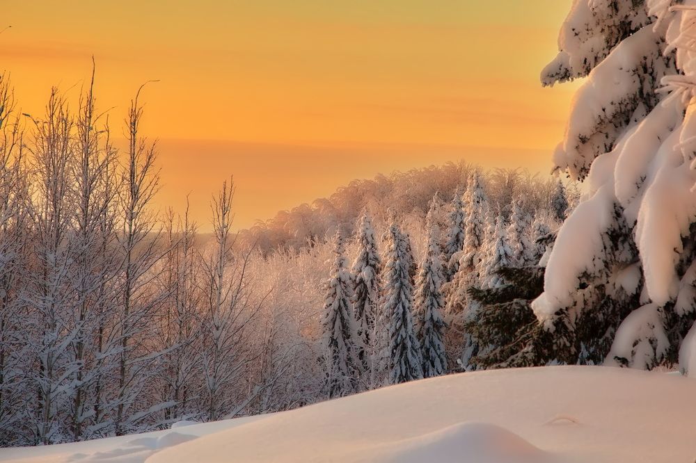 Photograph by Олег Раков