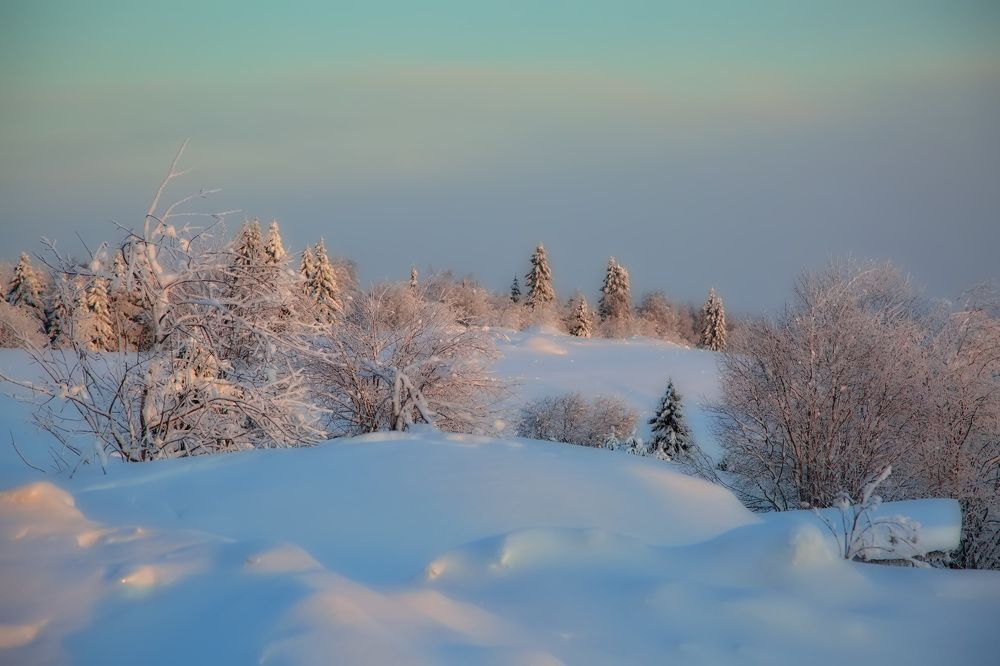 Photograph by Олег Раков