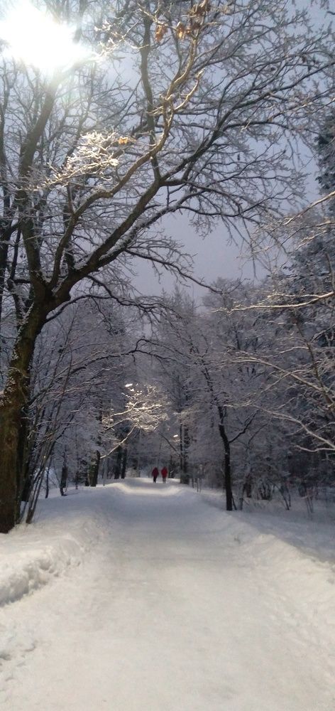 Photograph by Любовь Макарова