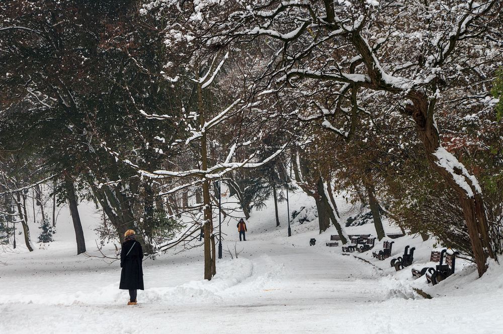 Photograph by Elena Zorina