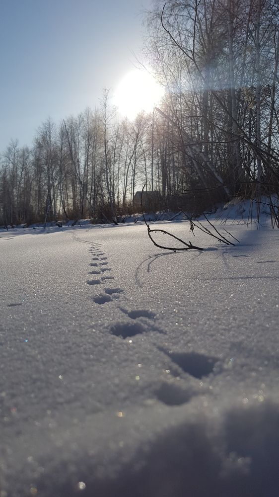 Photograph by Дарья Агапова