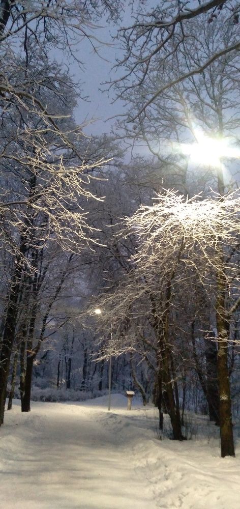 Photograph by Любовь Макарова