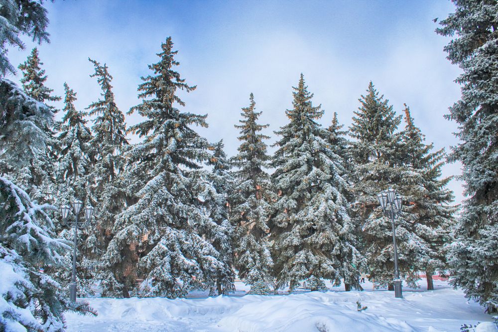 Фотография автора Валерий Цуркан