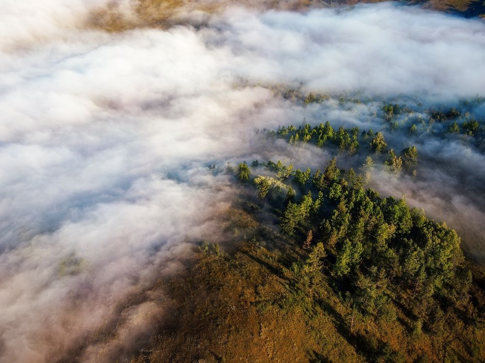 Photograph by Владимир Лякишев