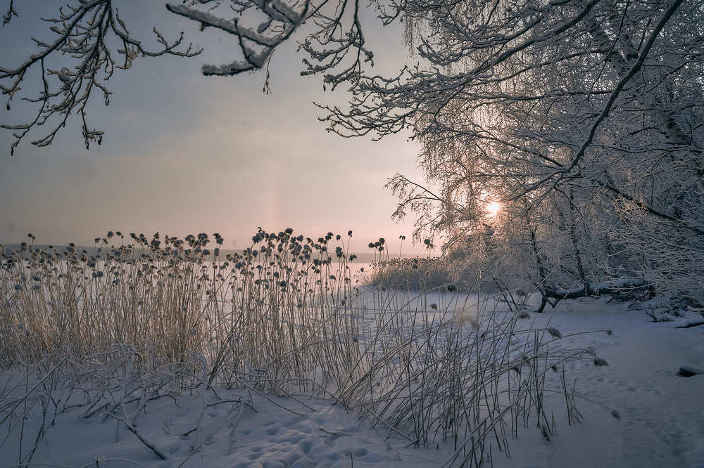Photograph by Антон