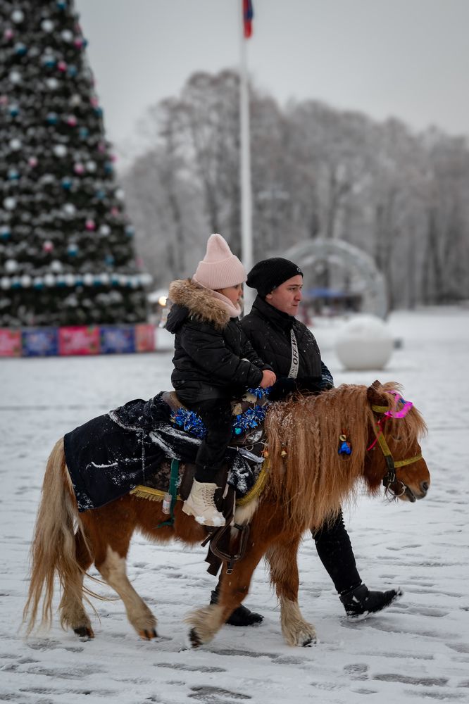 Фотография автора Дмитрий Referee
