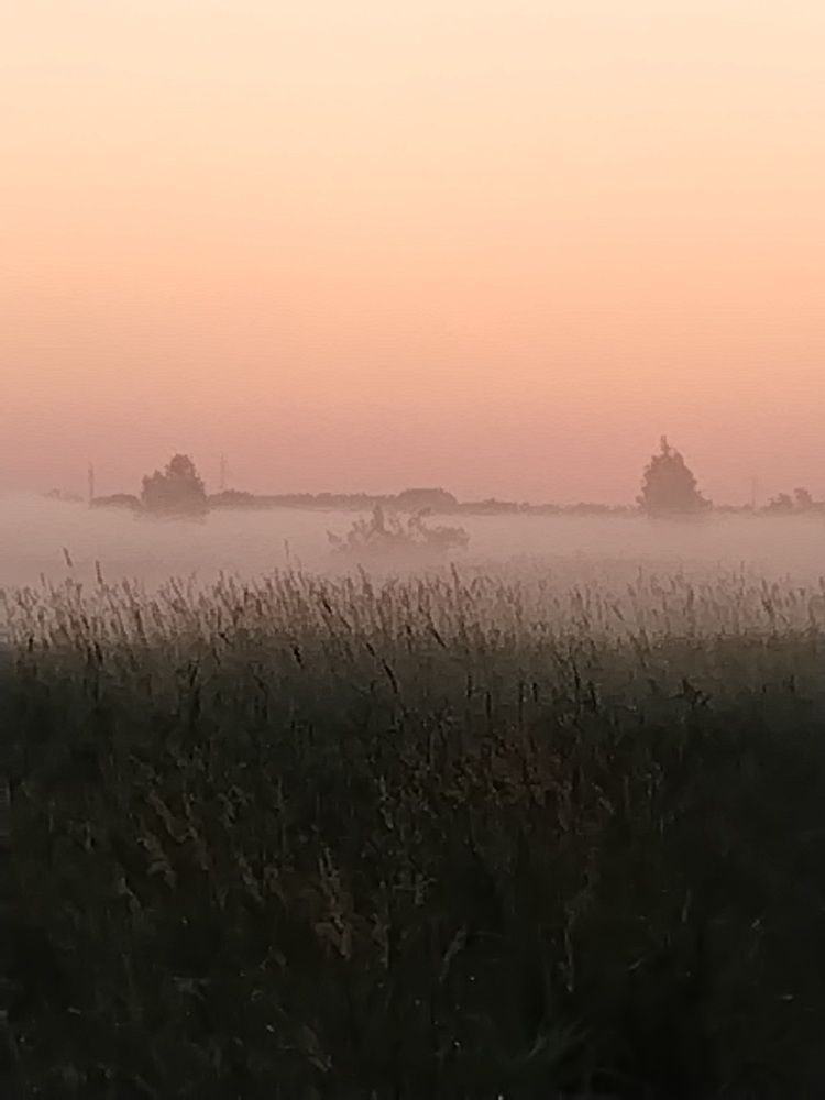 Photograph by Ольга