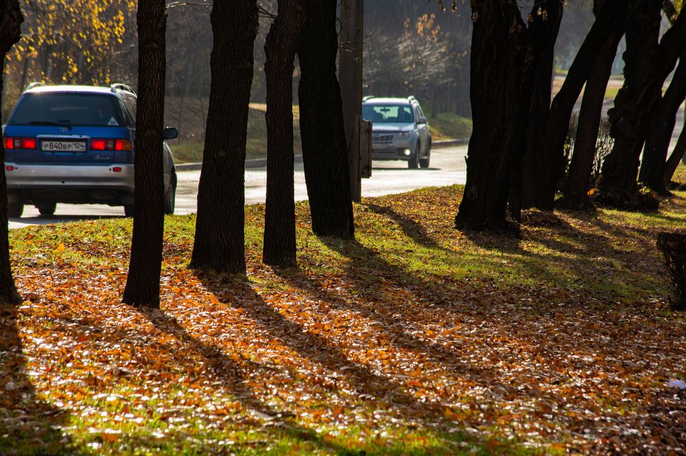 Осенняя прогулка..