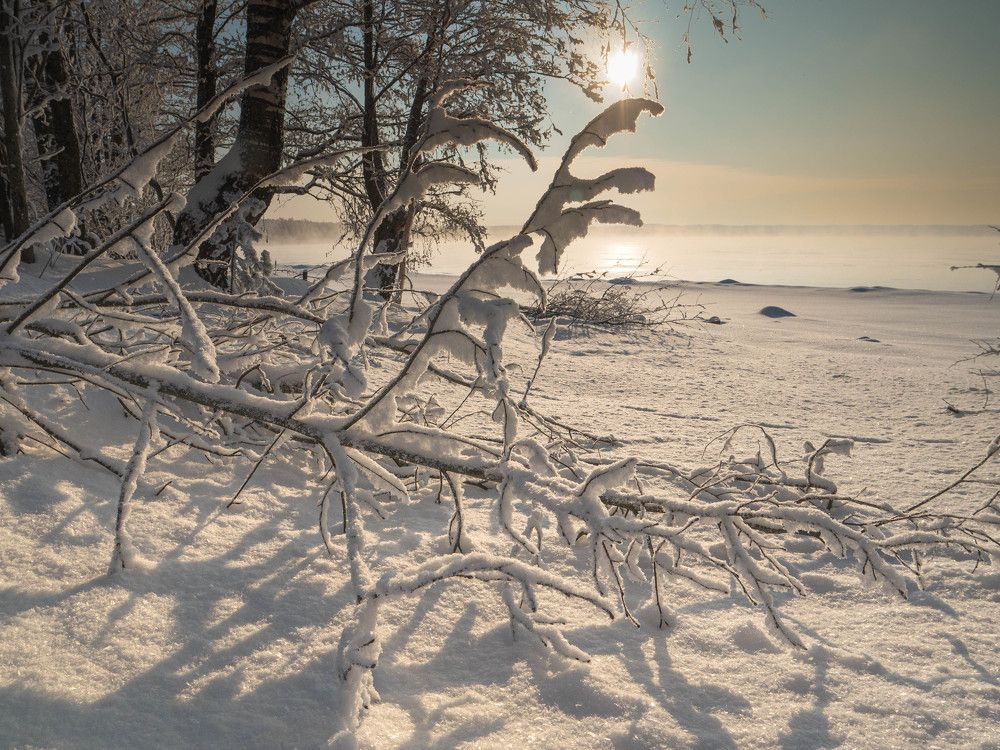 Photograph by Антон