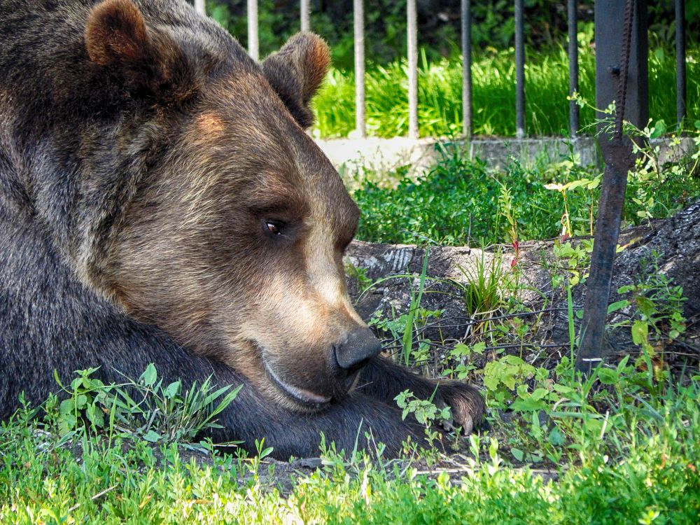Фотография автора Валерий Цуркан