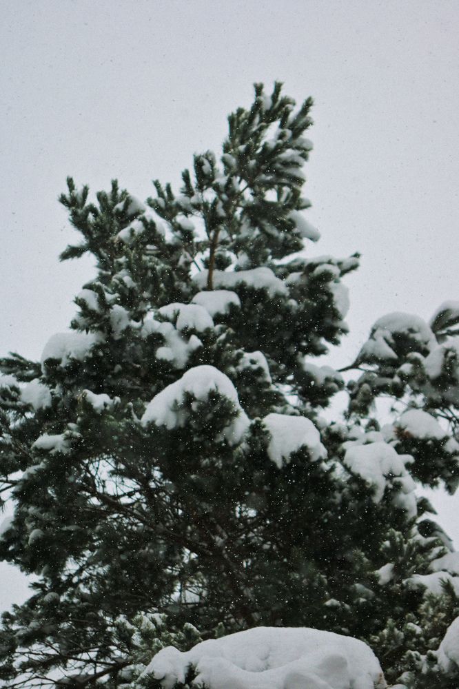 Фотография автора Екатерина Высоцкая