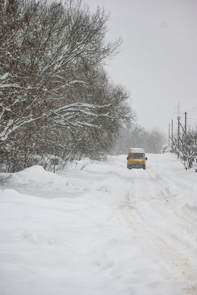 Фотография автора Екатерина Высоцкая