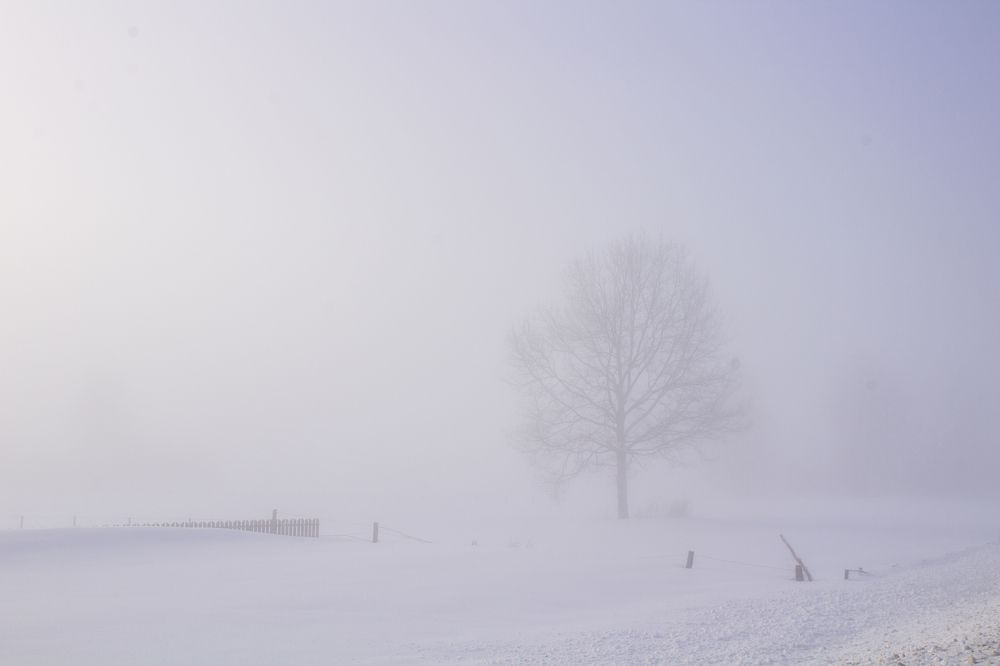 Photograph by Оксана Леонтьева