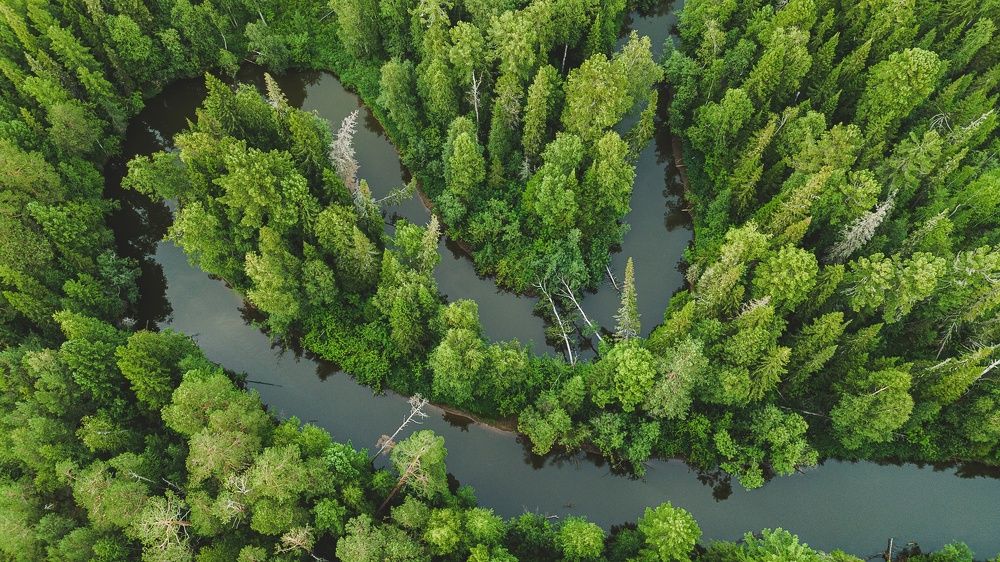 Photograph by Максим