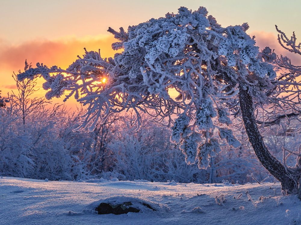Photograph by Александр Авдушев
