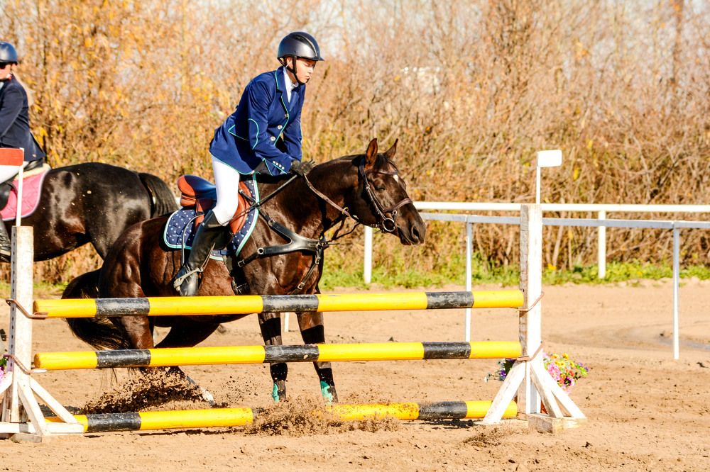 Не буду прыгать!