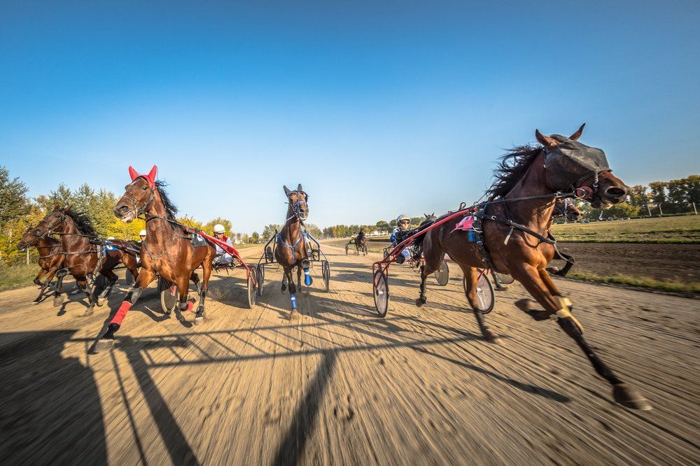 Photograph by Андрей Чернышов