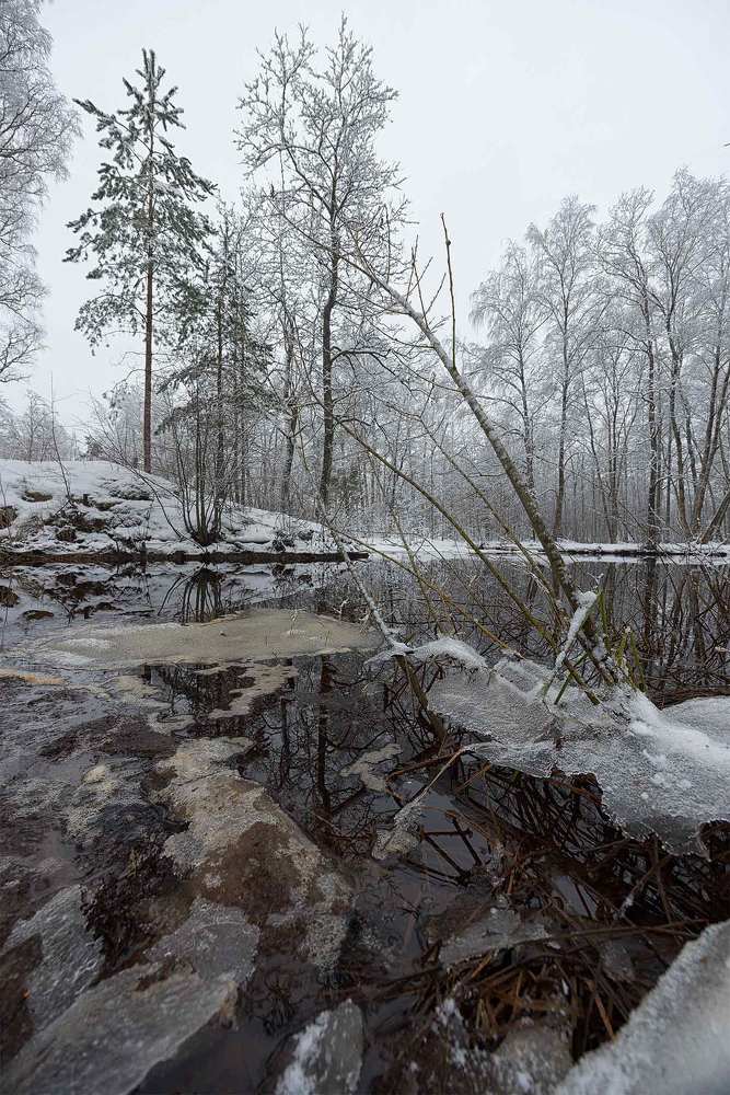 Photograph by Михайлова Елена