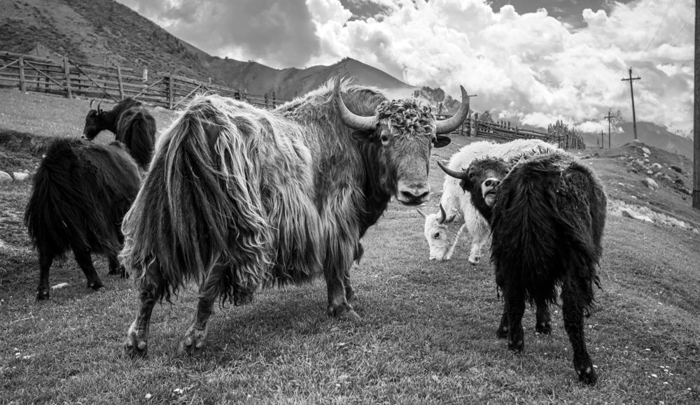 Photograph by Екатерина Волокитина