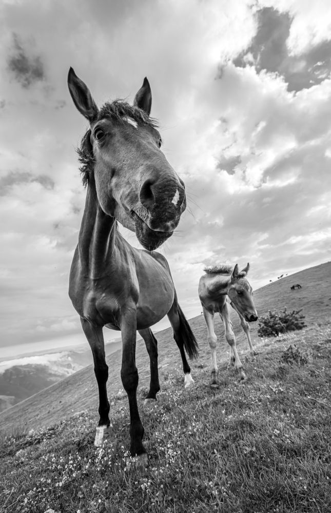 Photograph by Максим Волокитин