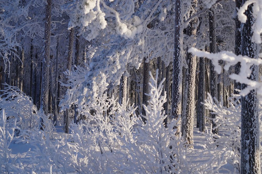 Photograph by Светлана Трушкова