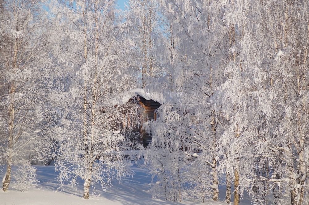 Photograph by Светлана Трушкова