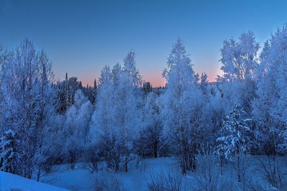Фотография автора Галина Шепелева