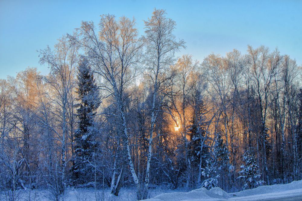 Фотография автора Галина Шепелева