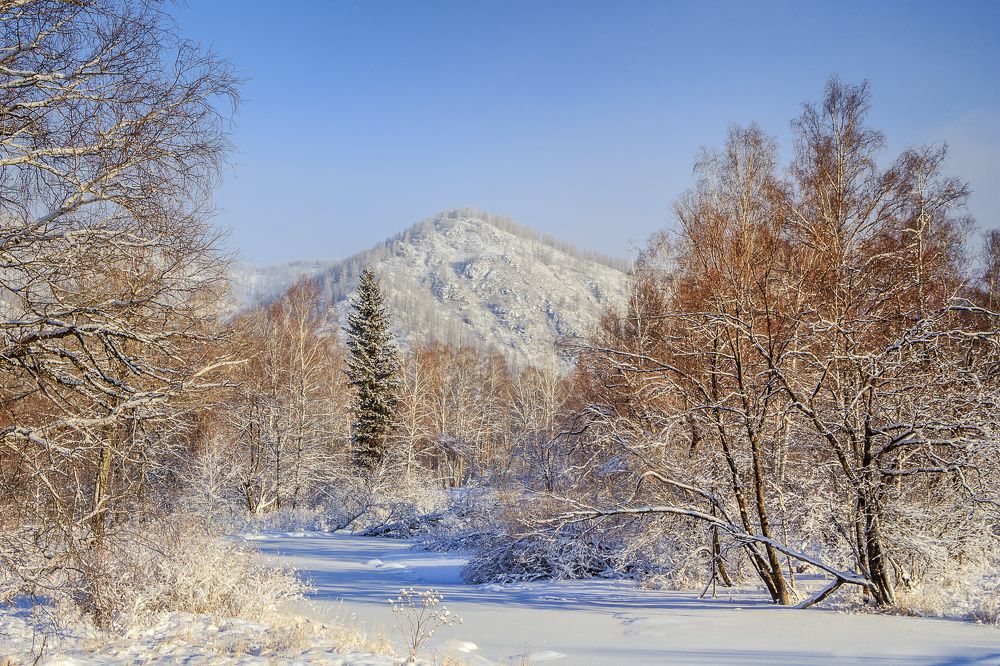 Морозный день.