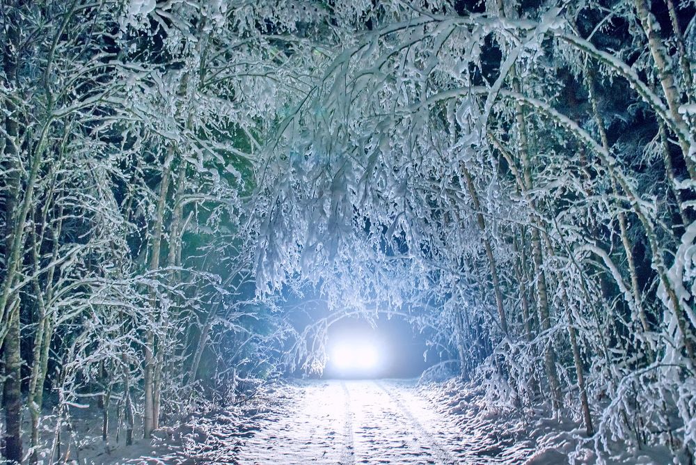 Photograph by Смирнов Валерий