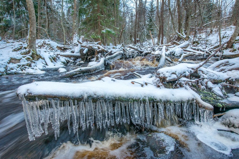 Photograph by Смирнов Валерий