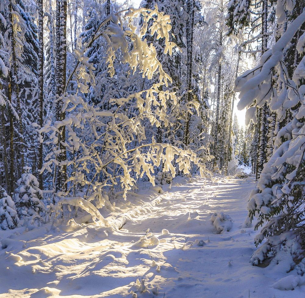 Photograph by Смирнов Валерий