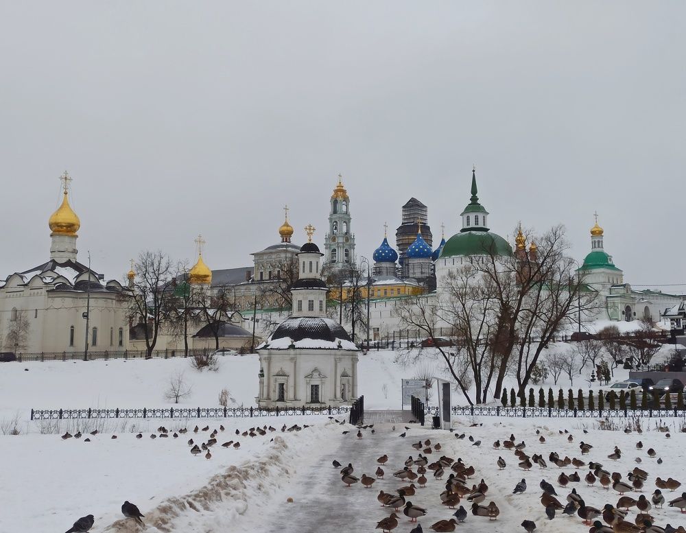 Photograph by Новикова Елена Сергеевна