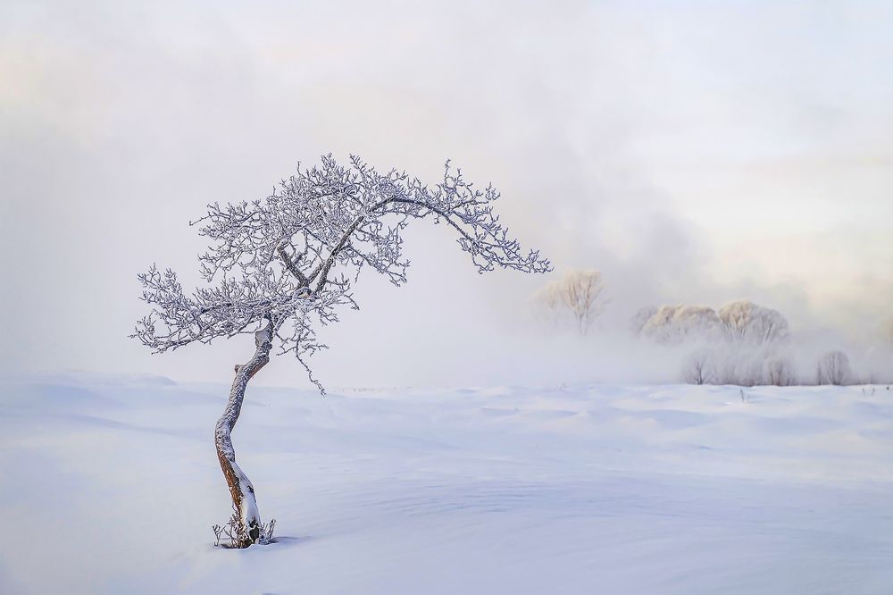 Photograph by Юрий Гау