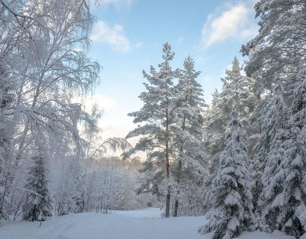 Photograph by Татьяна Романова