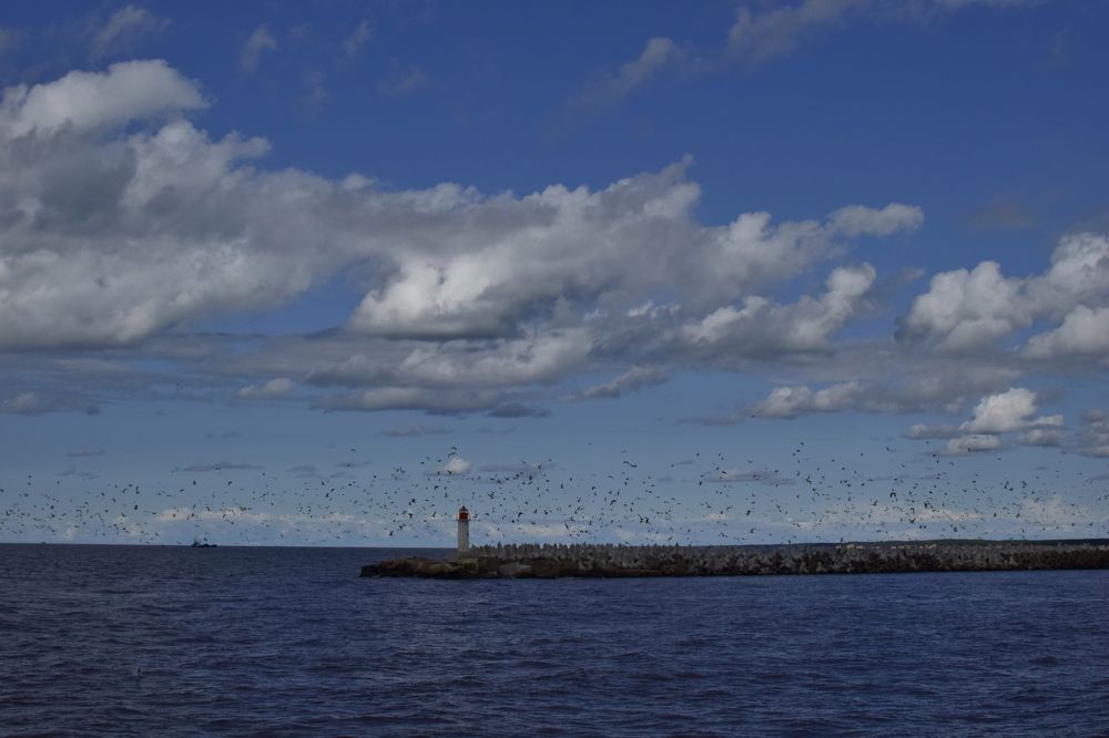 Photograph by Aleksandra Bistrova