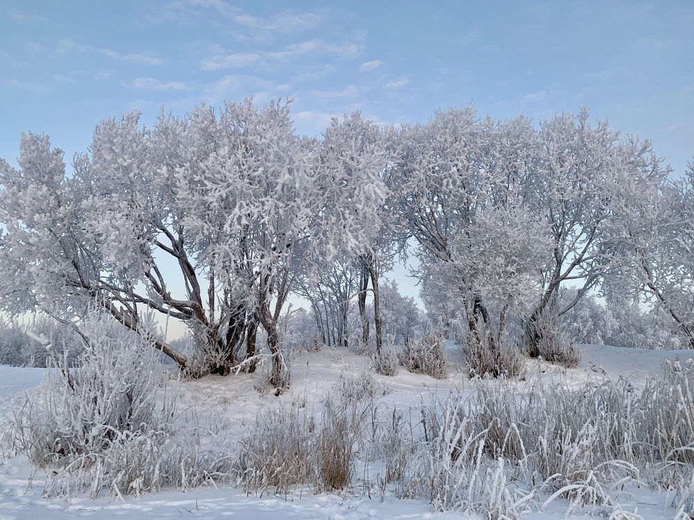 Photograph by Наталья Бирук