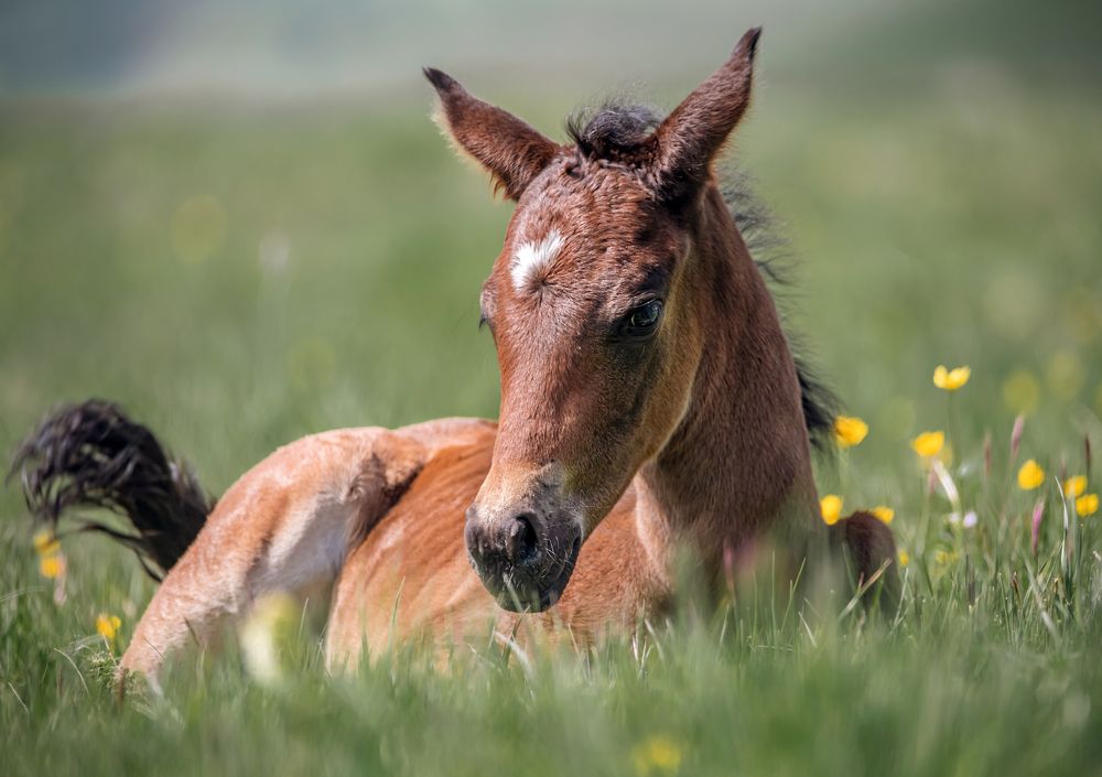 Photograph by Максим Волокитин