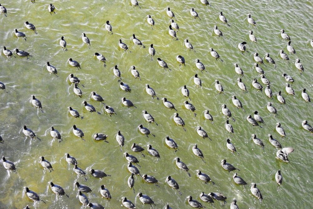 Photograph by fuat cimok