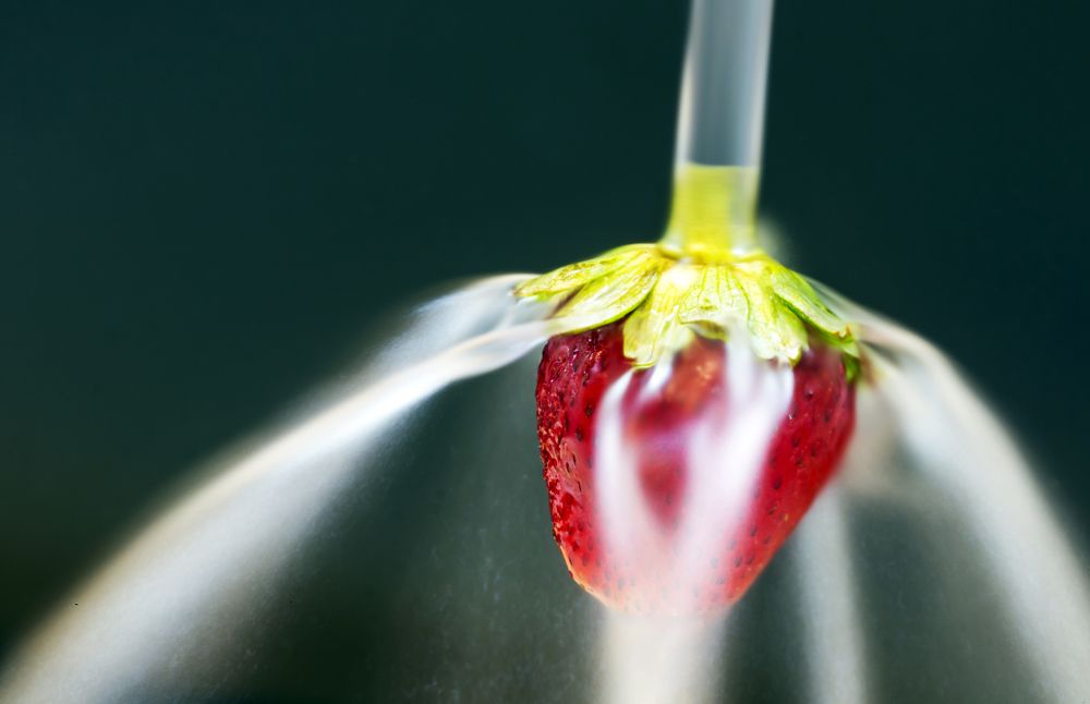 Photograph by Баймухамедов Аскар