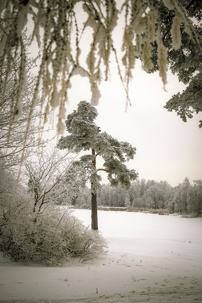 Photograph by Анастасия Белякова